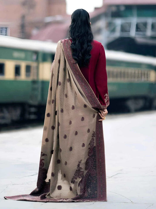 Person wearing a beige saree with a red blouse in front of a train